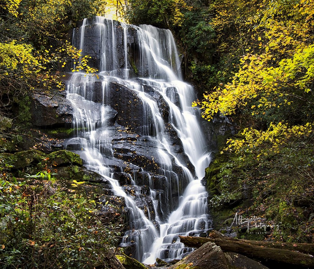 2018-10-31 001 141 - Copy MERGED 2 SIZED-1.jpg