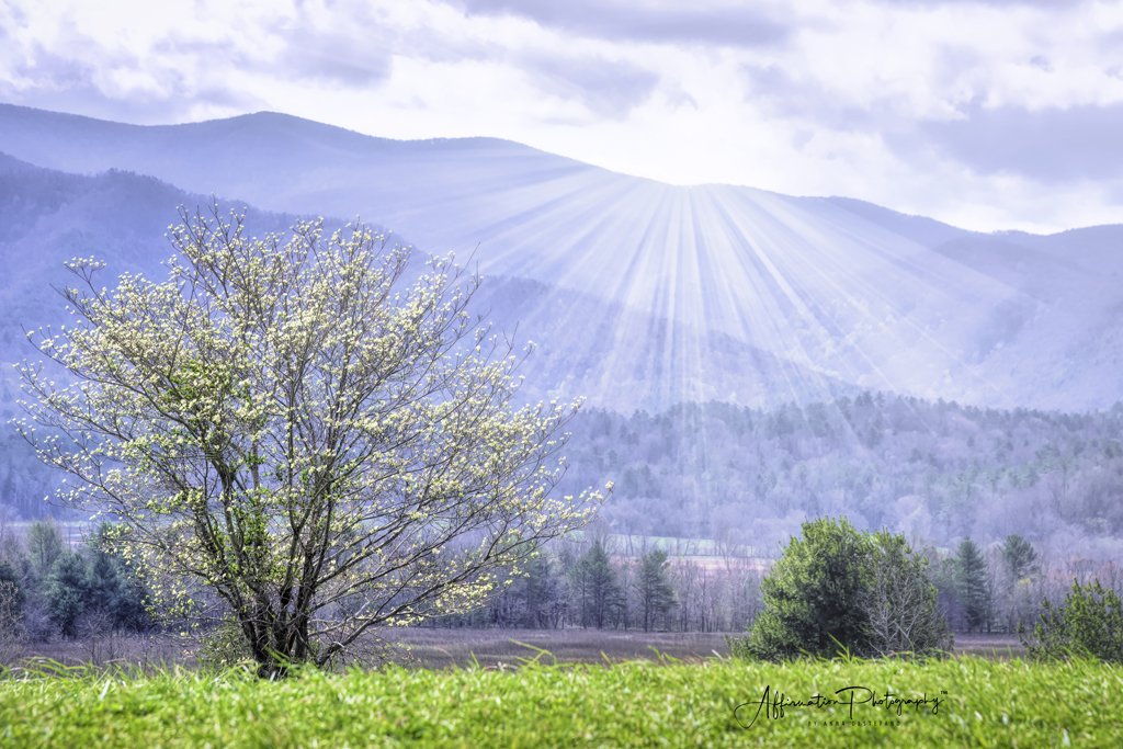 2022-04-13 001 134 MERGED-1.jpg