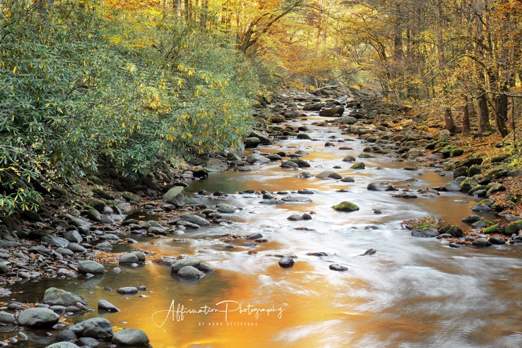 2024-10-29 001 043 merged 2-1SIZED.jpg