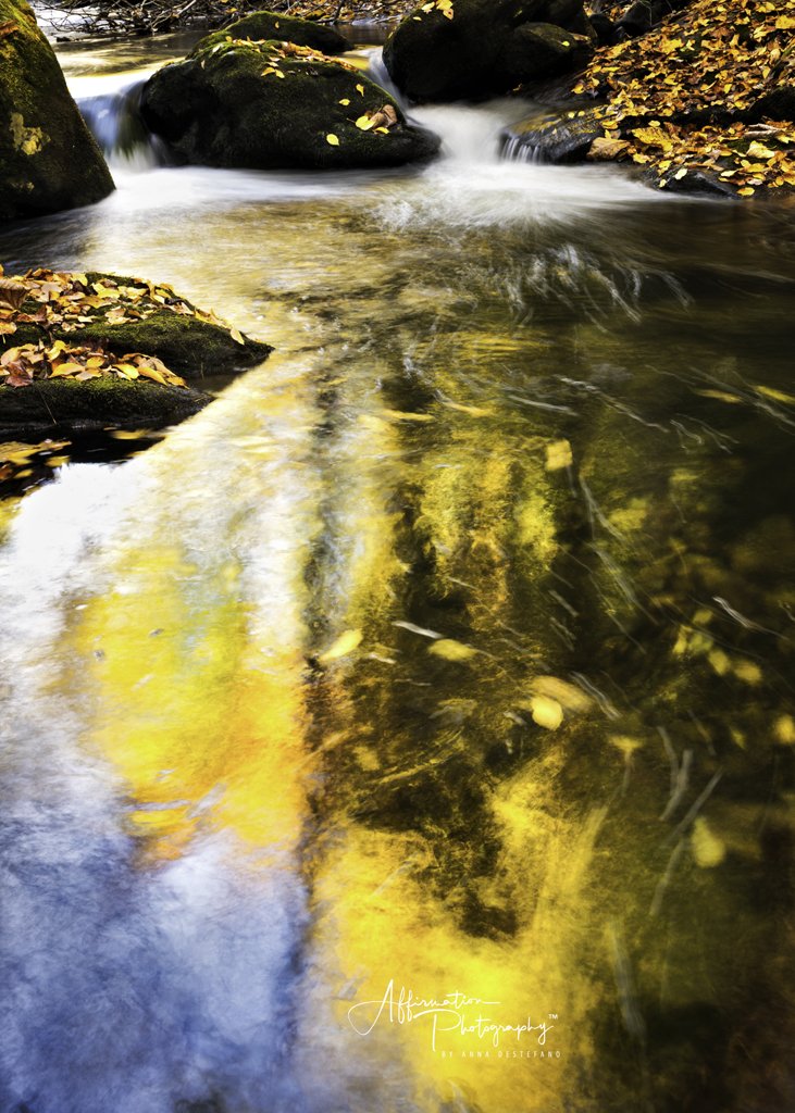 2022-10-24 001 519-Edit-2 merged-1.jpg