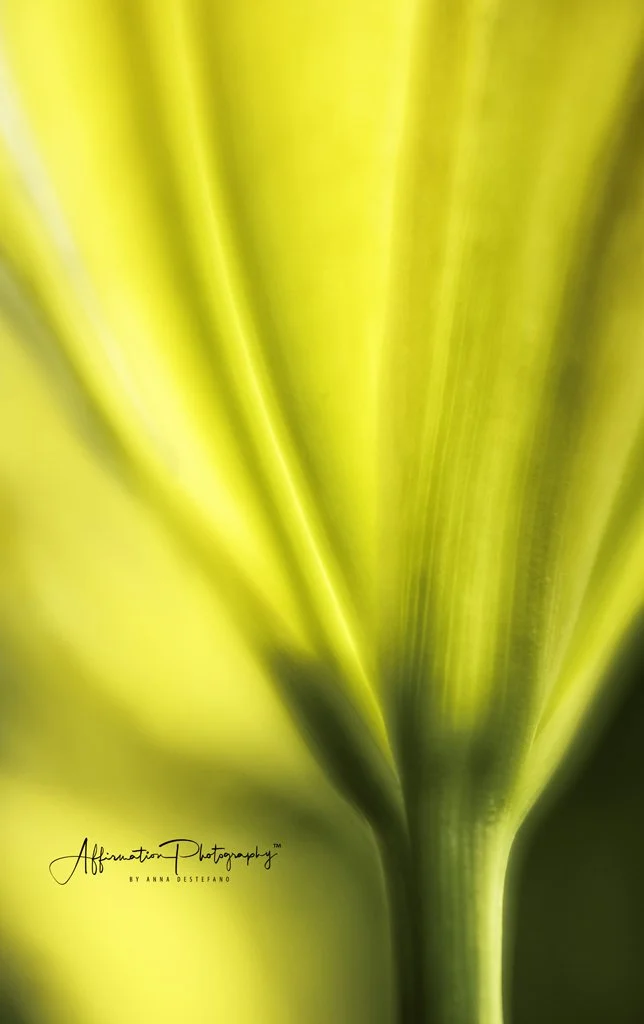 2020-06-30 002 031 - Copy merged 3-2 SIZED.jpg