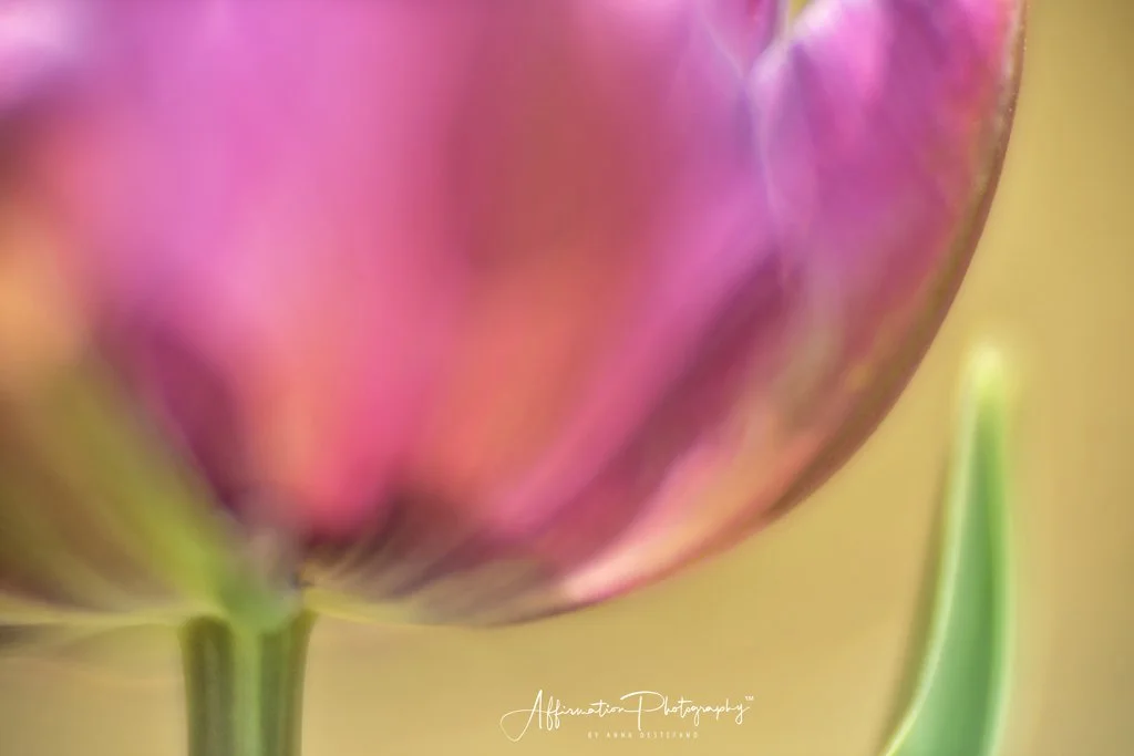 2022-03-06 002 313-Edit-1 SIZED.jpg