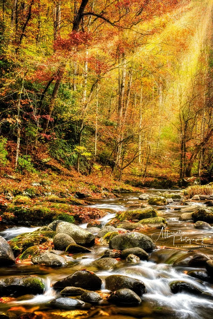 2023-10-27 003 228_hdr 2 merged-1.jpg