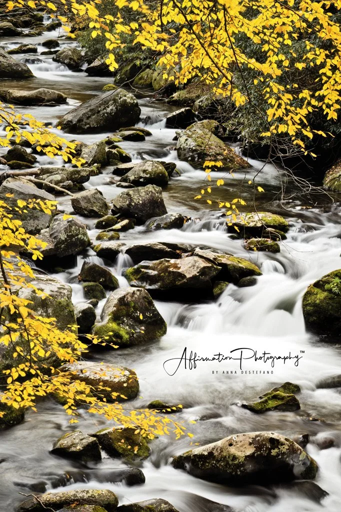 2025-11-01 001 292 MERGED-1 SIZED.jpg