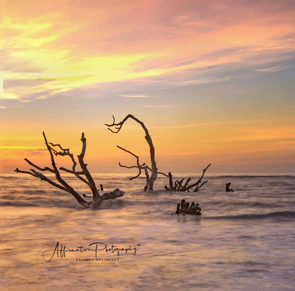 2019-03-09 001 021 - Copy merged 3-1 sized.jpg