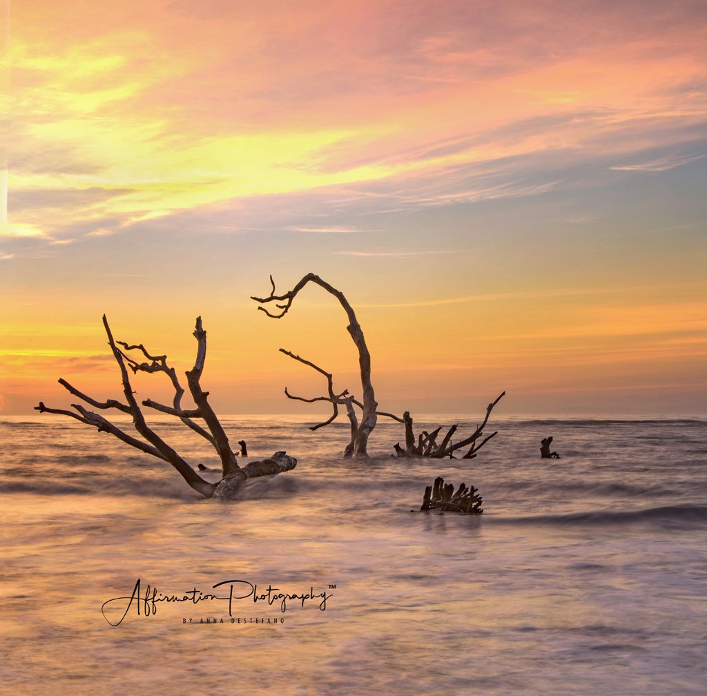 2019-03-09 001 021 - Copy merged 3-1 sized.jpg