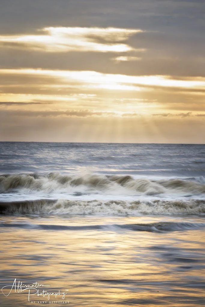 2024-04-09 004 280-1 SIZED.jpg