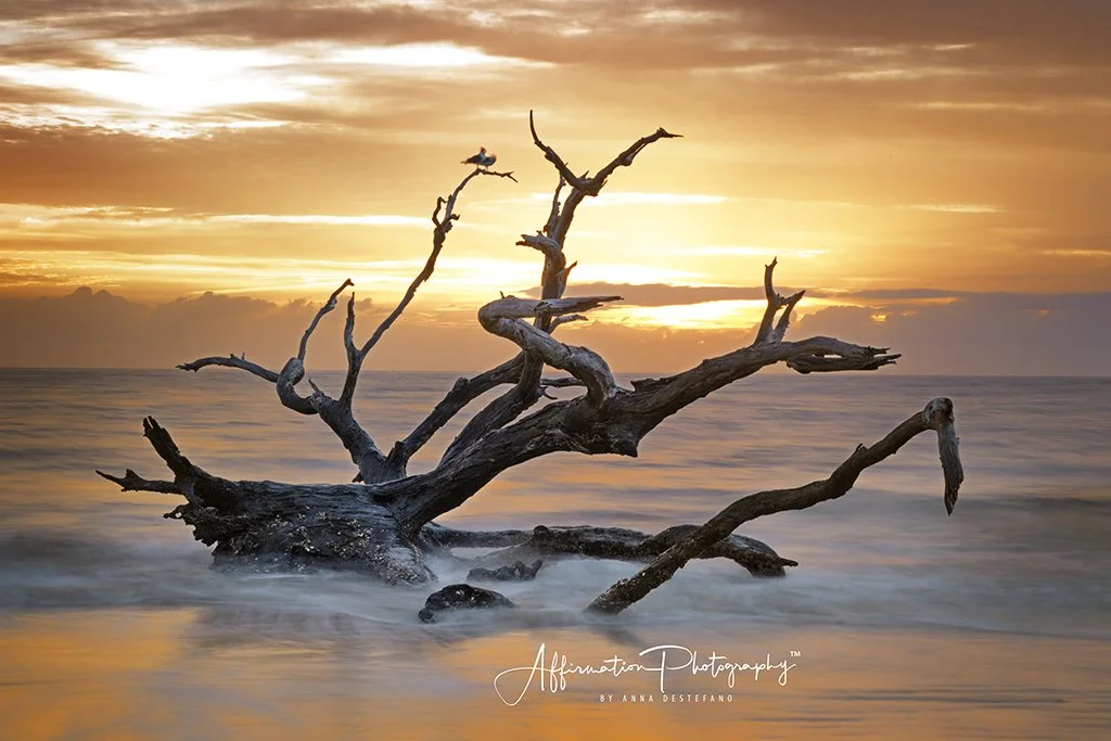 2024-04-09 004 071 MERGED-1 SIZED.jpg