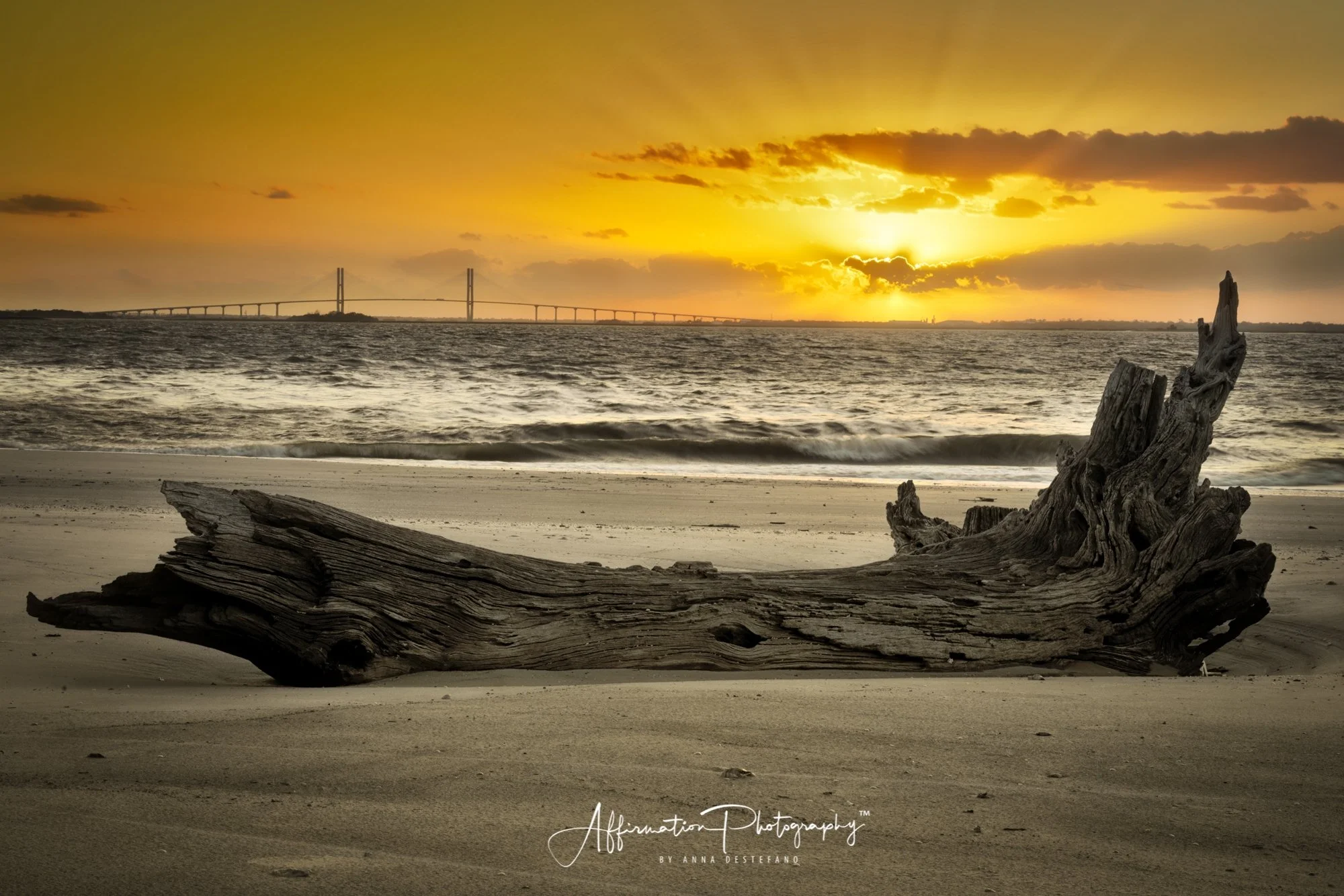 2024-04-09 007 1033 AD SIZED Tony-1.jpg