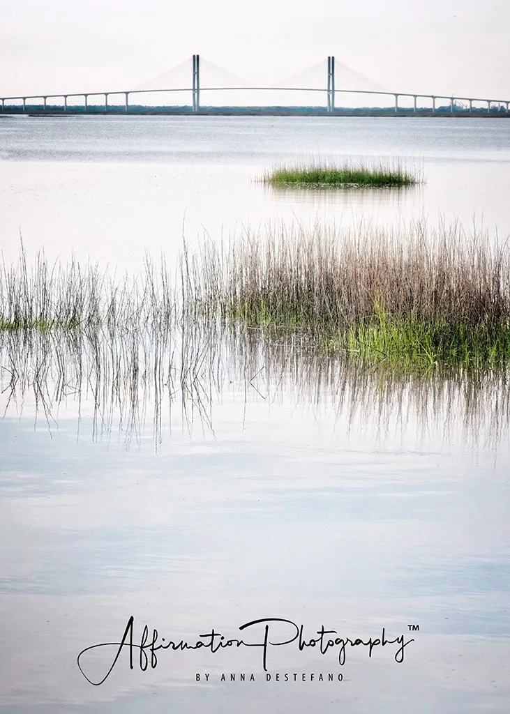 2024-04-08 001 618-1 sized.jpg