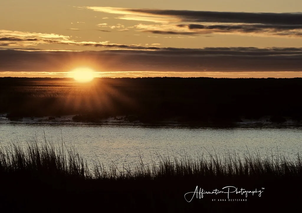 2021-03-03 001 044-Edit 2-1 SIZED.jpg