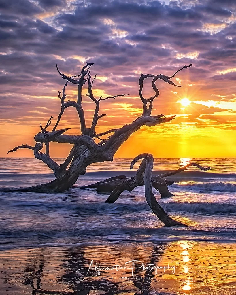 2018-04-14 002 274 CROPPED 3-1 SIZED.jpg