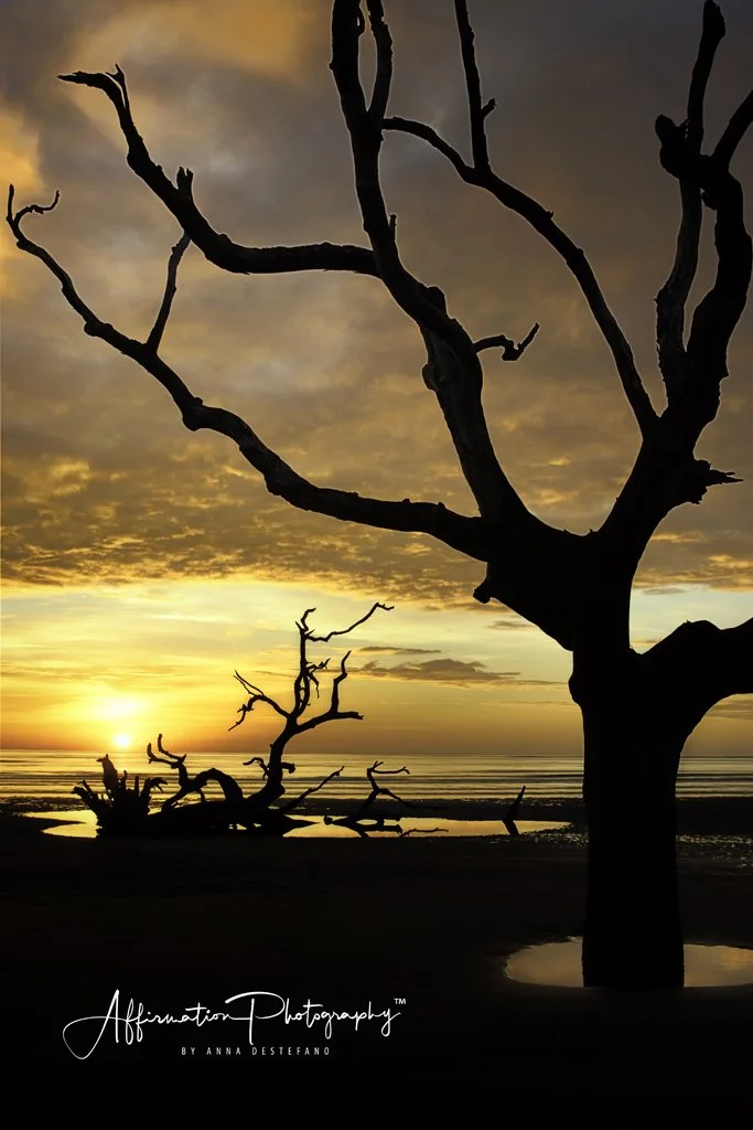 2021-12-09 002 309 hdr merged 2=3-1.jpg