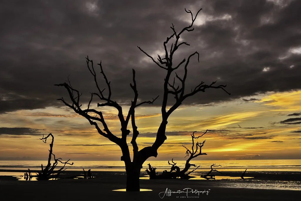 2021-12-09 002 244 hdr merged 4-1.jpg