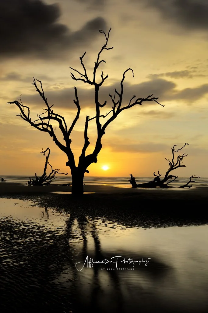 2022-03-23 001 061 LEFT-1.jpg