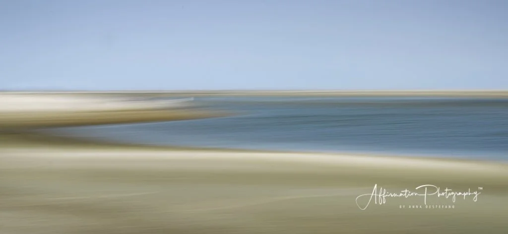 2022-04-21 002 404 merged 2 cropped SIZED-1.jpg