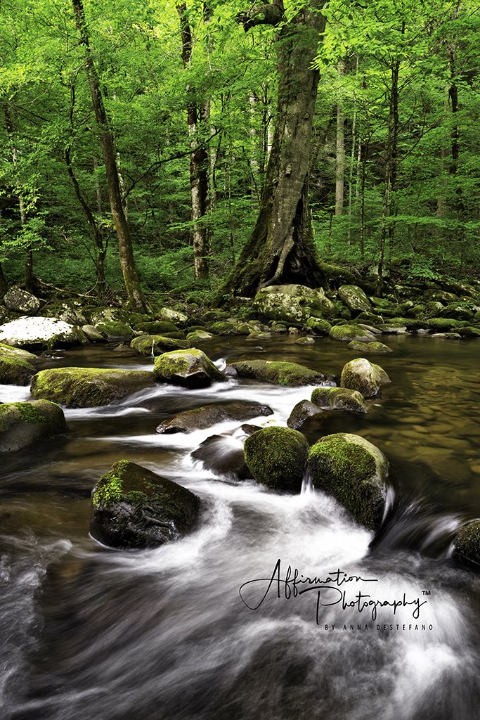 2014-01-02 001 248 merged 2-1 sized.jpg