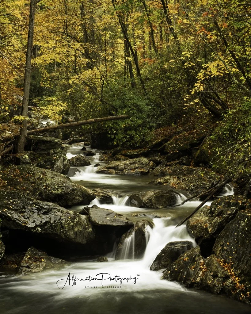 2021-10-30 001 035 merged crop 2-1.jpg