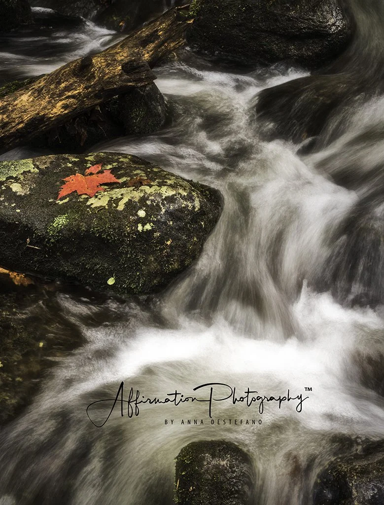 2020-10-30 002 275 merged-1 sized.jpg