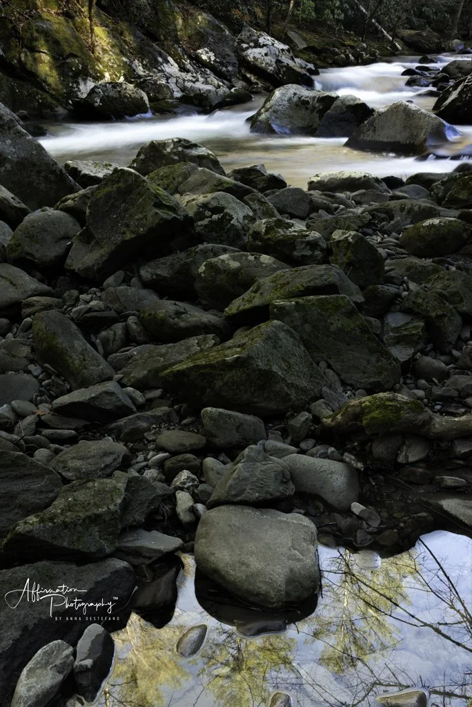 2022-01-26 003 398-Edit merged 2-1 SIZED.jpg