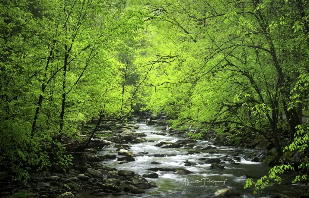 2021-04-24 001 135 merged SIZED-1.jpg