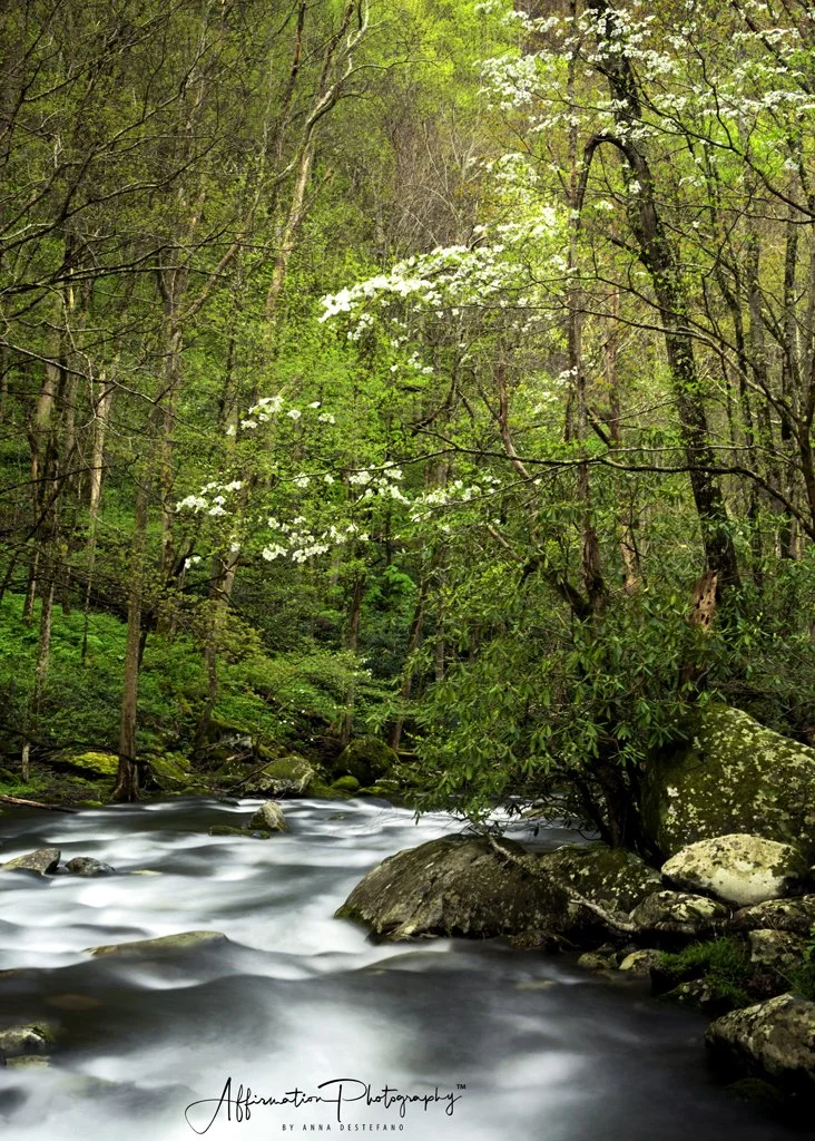 2022-04-16 001 073 merged 2-1 SIZED.jpg