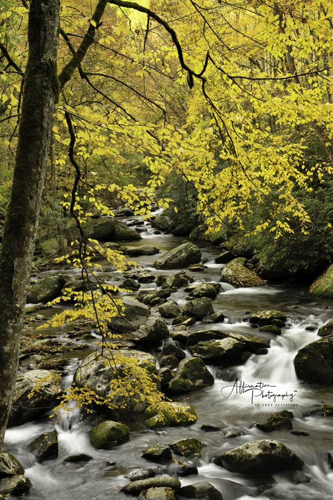 2021-11-05 002 143 merged NEW-1.jpg