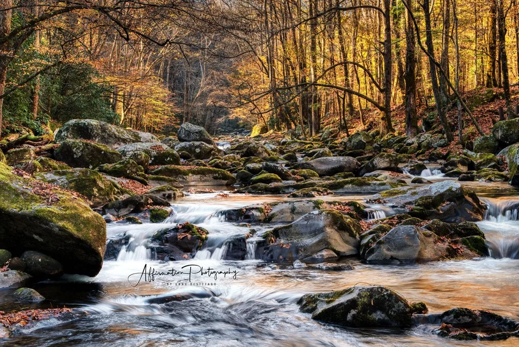 2023-11-01 002 271_hdr LUM NEO TOP DENOISE merged NO TOPAZ-1.jpg