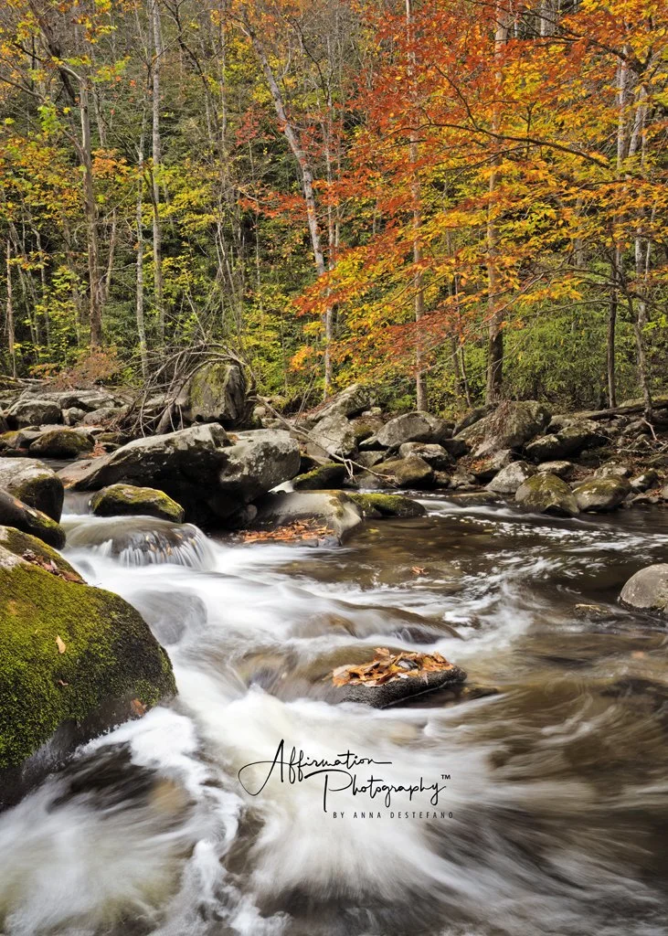 2024-10-29 002 935-1.jpg