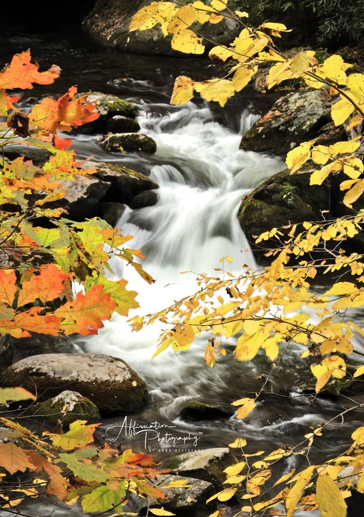 2025-11-01 001 299 MERGED-1 SIZED.jpg