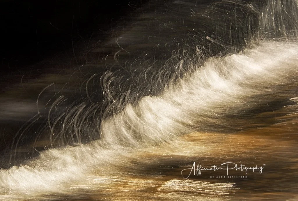 2018-08-29 001 045 - Copy MERGED sized-1.jpg