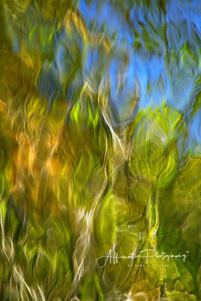 Nat Abstract 2-1.jpg