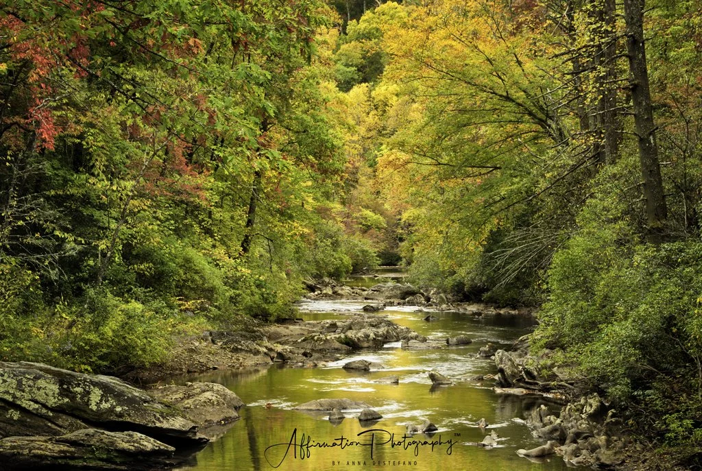 2023-10-15 001 050-Edit merged-1 SIZED.jpg