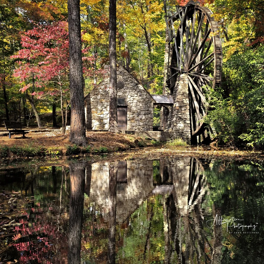 2022-10-28 001 105-Edit merged 4-2 SIZED.jpg