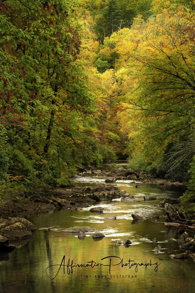 2023-10-15 001 061-Edit merged-1 SIZED.jpg