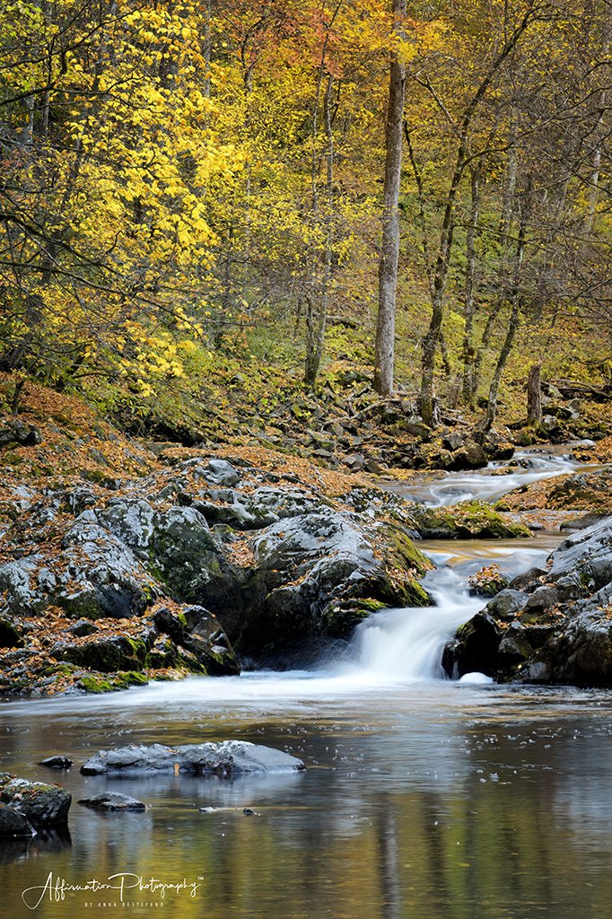 2024-10-29 001 260 merged-1 SIZED.jpg