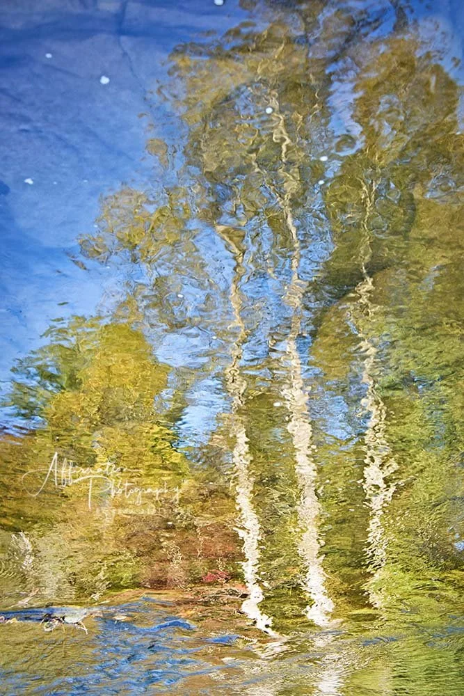 2018-10-30 001 938 - Copy JPG 1 SIZED-1.jpg