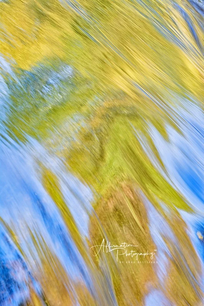 2018-10-30 002 068 - Copy crop MERGED sized-1.jpg