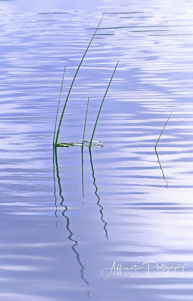 2021-03-19 001 321-Edit merged 2-1 SIZED.jpg