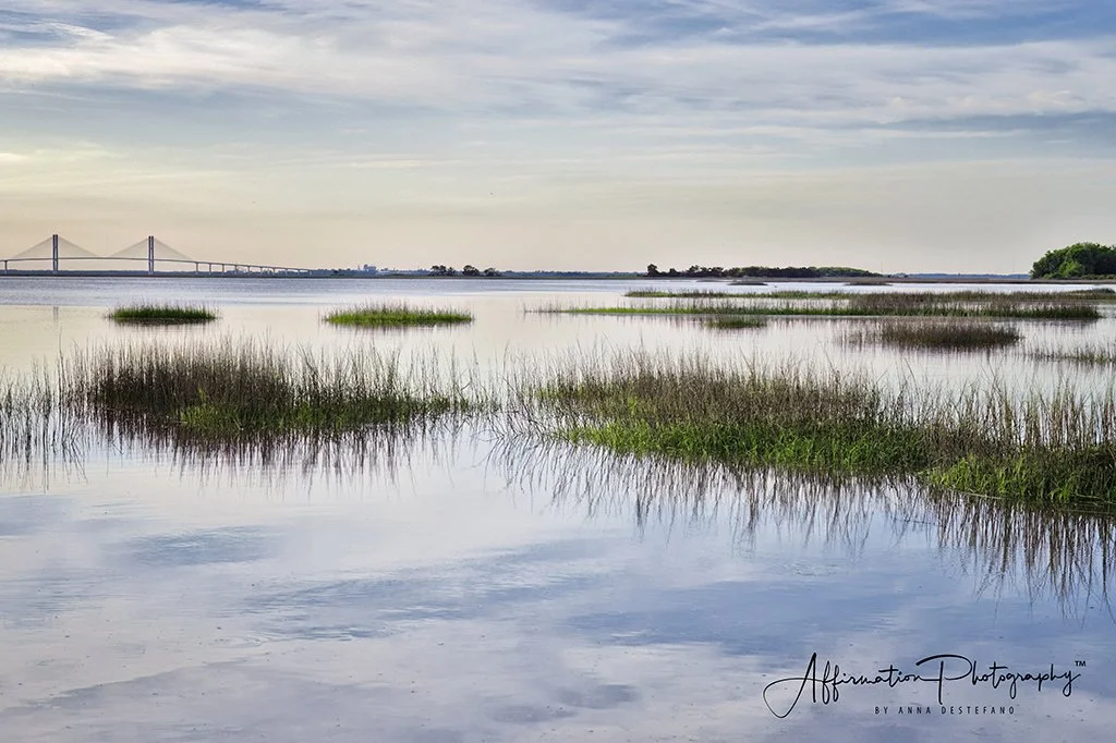 2024-04-08 001 625-1 sized.jpg