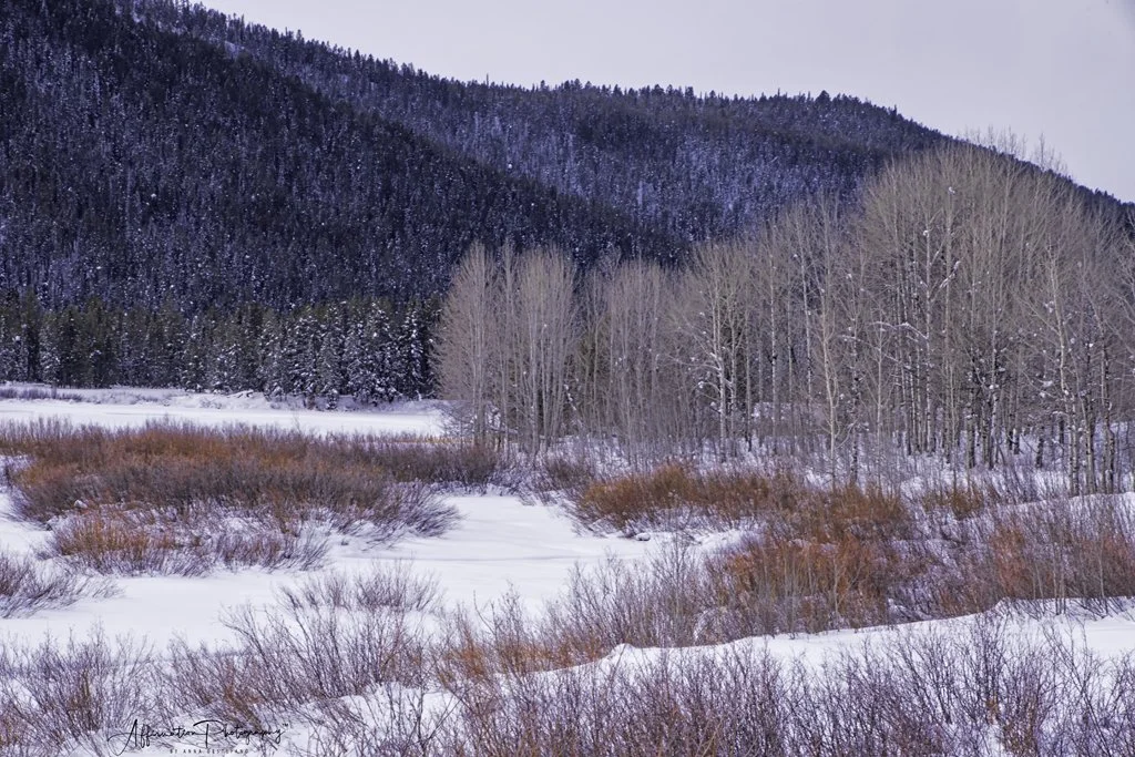 2020-01-05 002 153 - Copy merged-denoise-1 sized.jpg