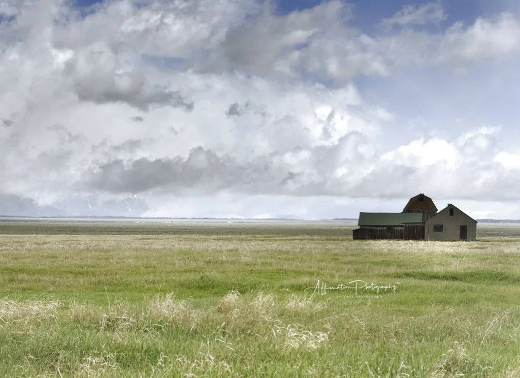 2021-05-26 001 213 hdr merge 4 crop sized-1.jpg