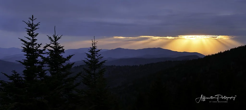 2021-04-13 001 718 MERGED 2 NEW LAYER CROP-1 SIZED.jpg