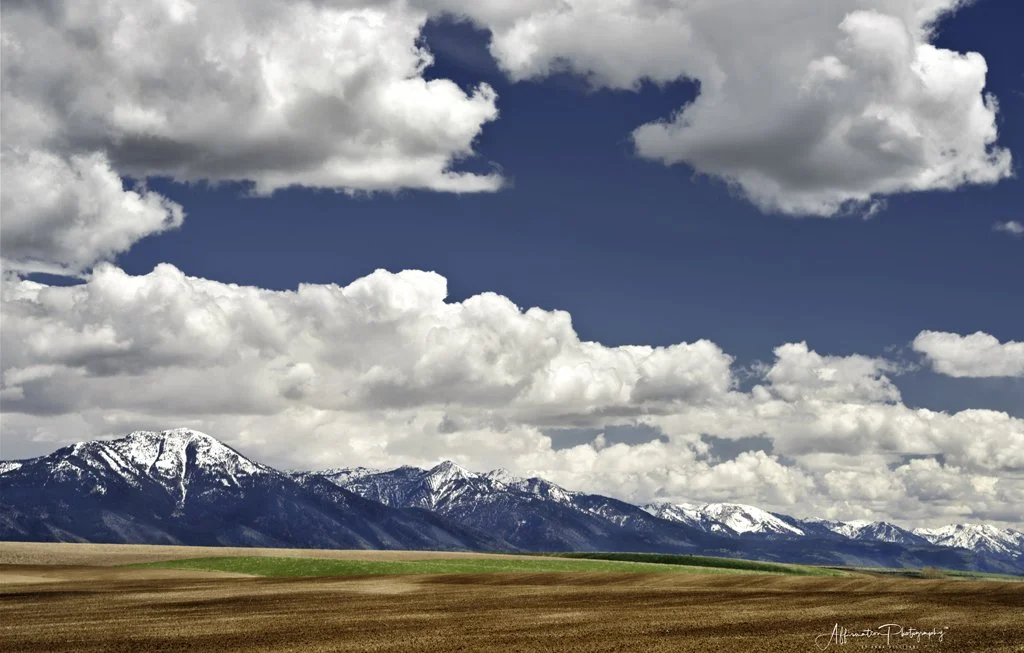 2022-05-23 001 164 HDR MERGED 2-1 SIZED.jpg