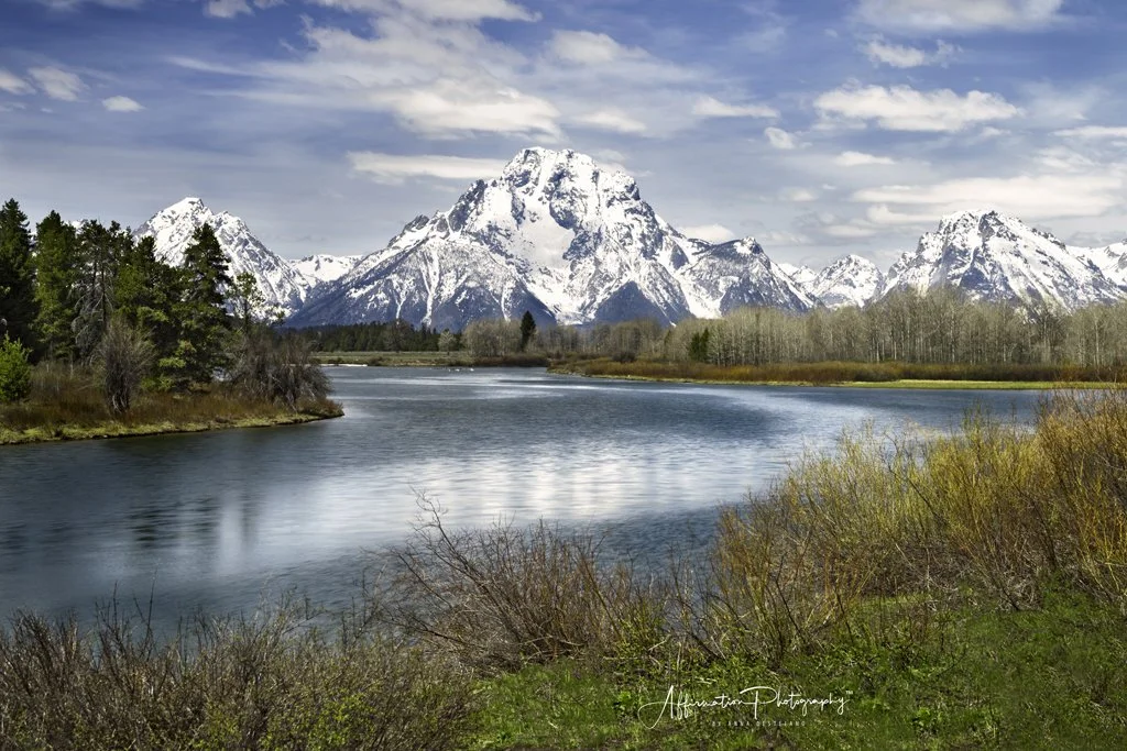 2022-05-24 003 672-Edit-Edit 2-1 sized.jpg