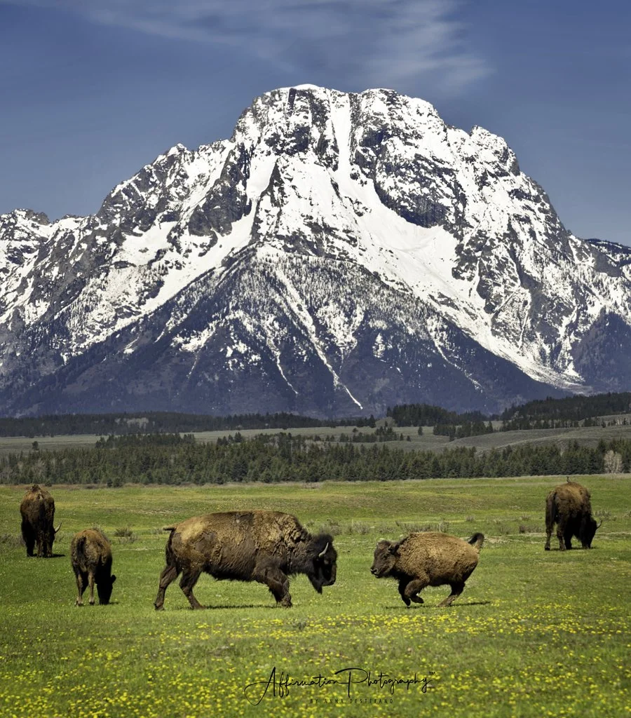 2022-05-24 005 014-Edit merged 3-1 SIZED.jpg