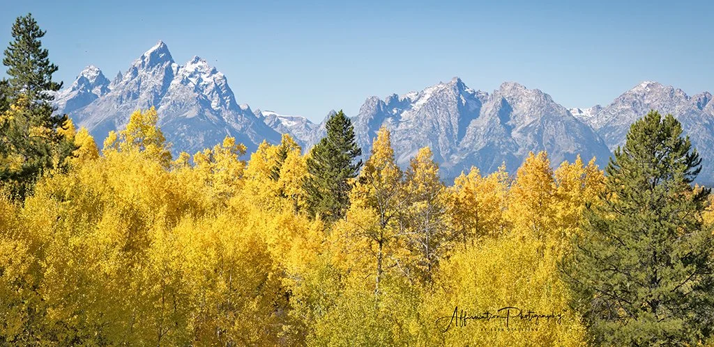 2024-09-24 001 362-1 sized.jpg