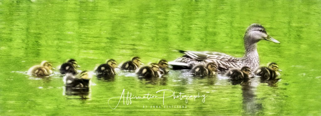 2023-04-26 004 108-Edit merged-1 sized.jpg