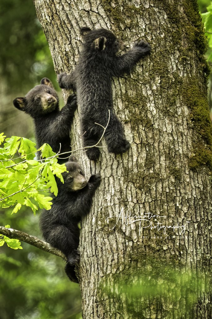 2024-04-27 001 1266-Edit-1.jpg