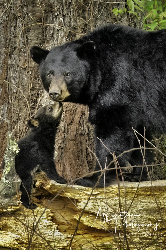 2024-04-27 001 623-Edit CROP-1.jpg